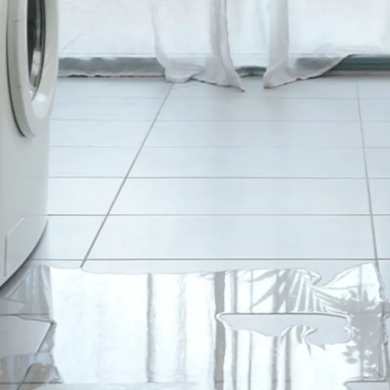 Appliance Leak Cleanup in Eureka, IL