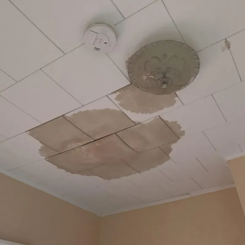 Ceiling Water Damage Repair in Eureka, IL
