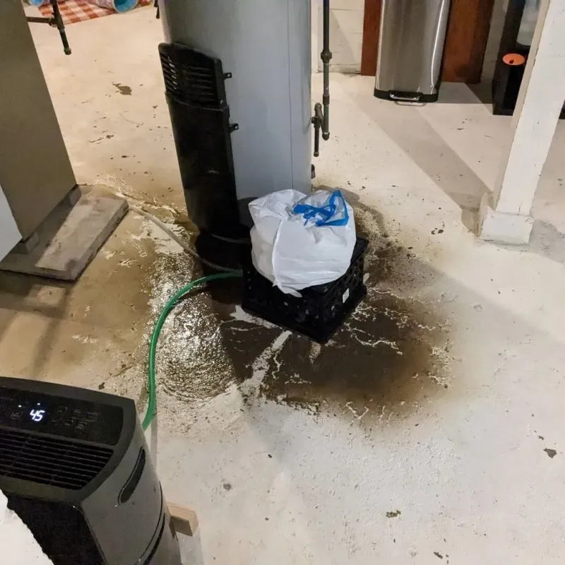 Sewage Backup Cleanup Service in Eureka, IL